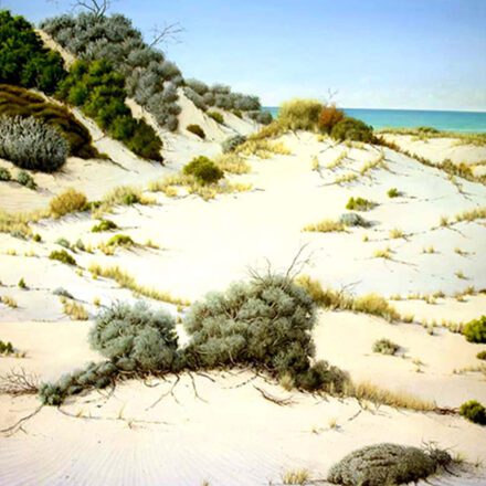 Across The Dunes 4