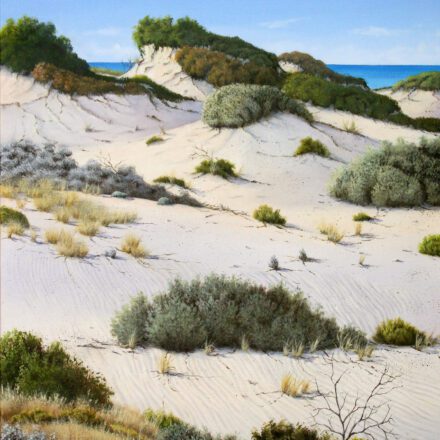 Across the Dunes 5