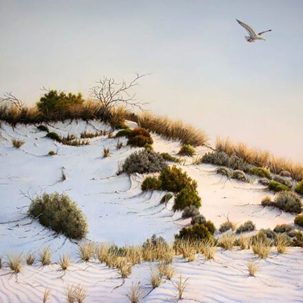 Rose Blushed Dawn Flight 2