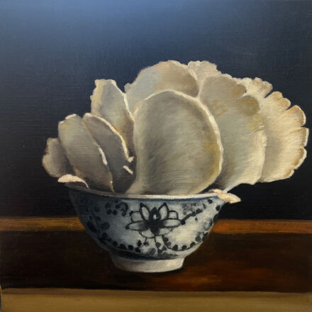 Hinterland Oyster Mushrooms