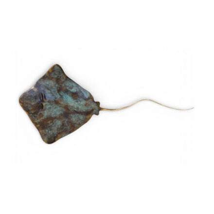 Hereclitus (Sulphur Creek) II