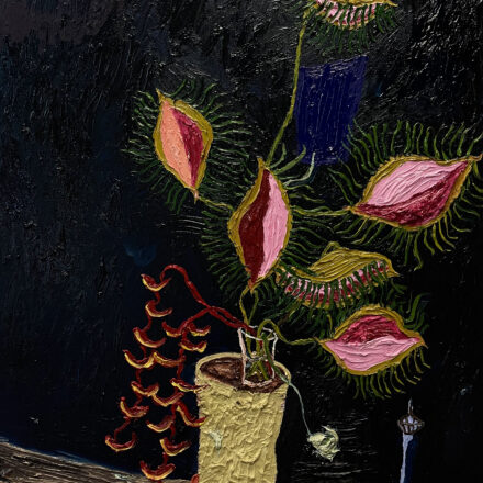 Parrots Beak Fly Traps On Tin Bucket