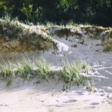 Wild and Woolly