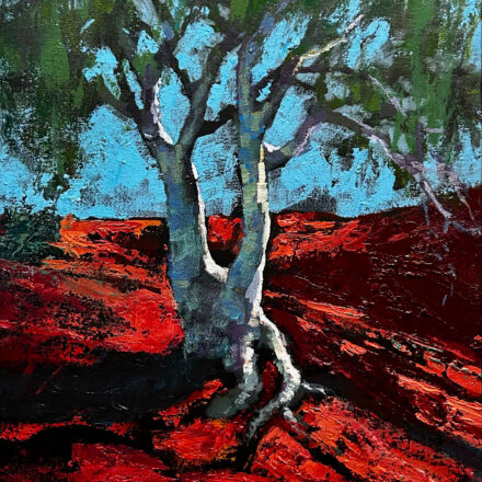 A Single Ghost Gum, Stark And White, Drinks The Mirage Of Noon’s Fierce Light