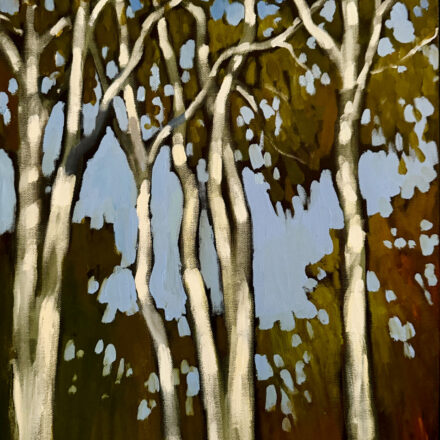 The Dance Of The White Gums – Alice Springs